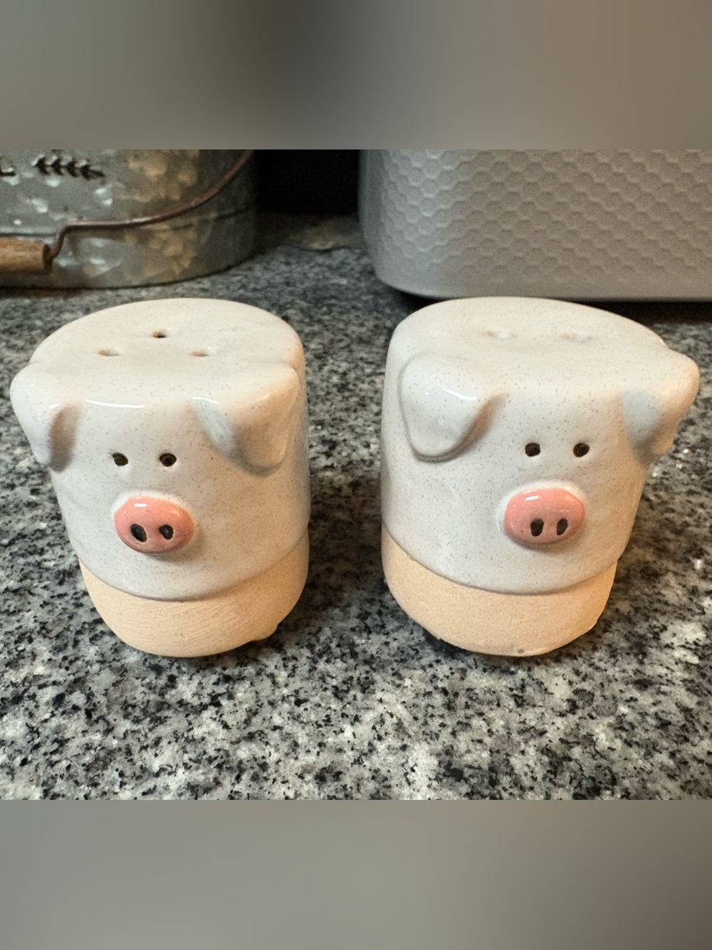Pig-Shaped Ceramic Salt and Pepper Shaker Set - Cream and Pink